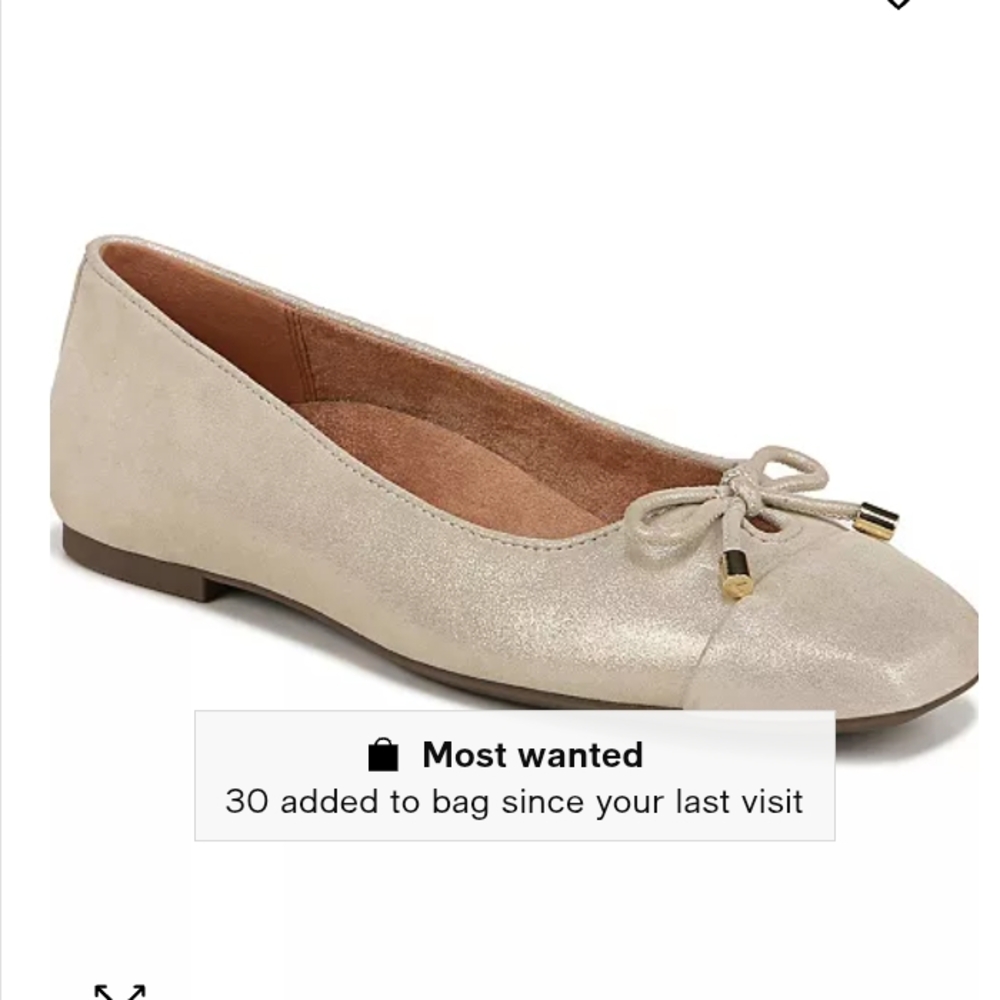 Vionic Ballet Flats 11W NWT